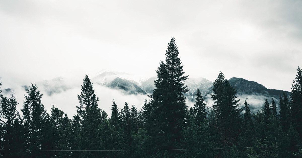 Mist over a British Columbia forest and mountain ridge, evoking the province whose PIPA governs a therapist's client email